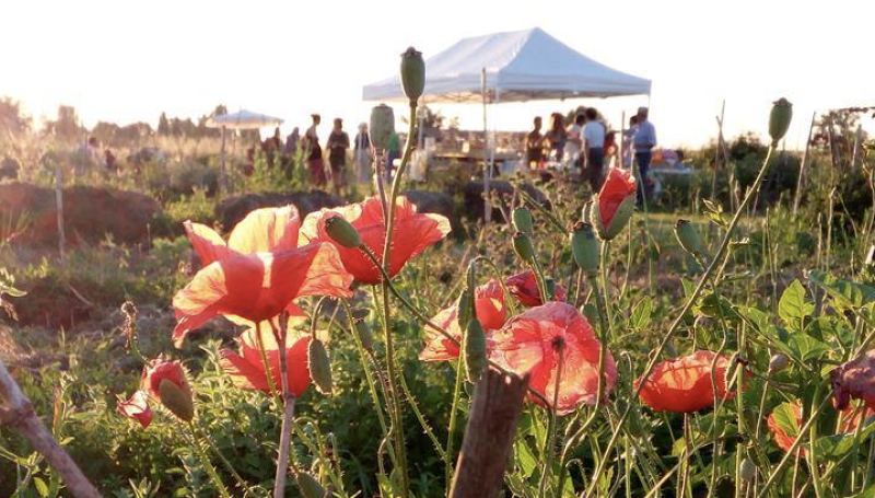 Benessere e natura promossi da HumuSapiens